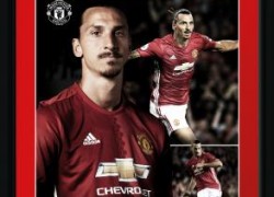 Ibra Framed Collectors Print